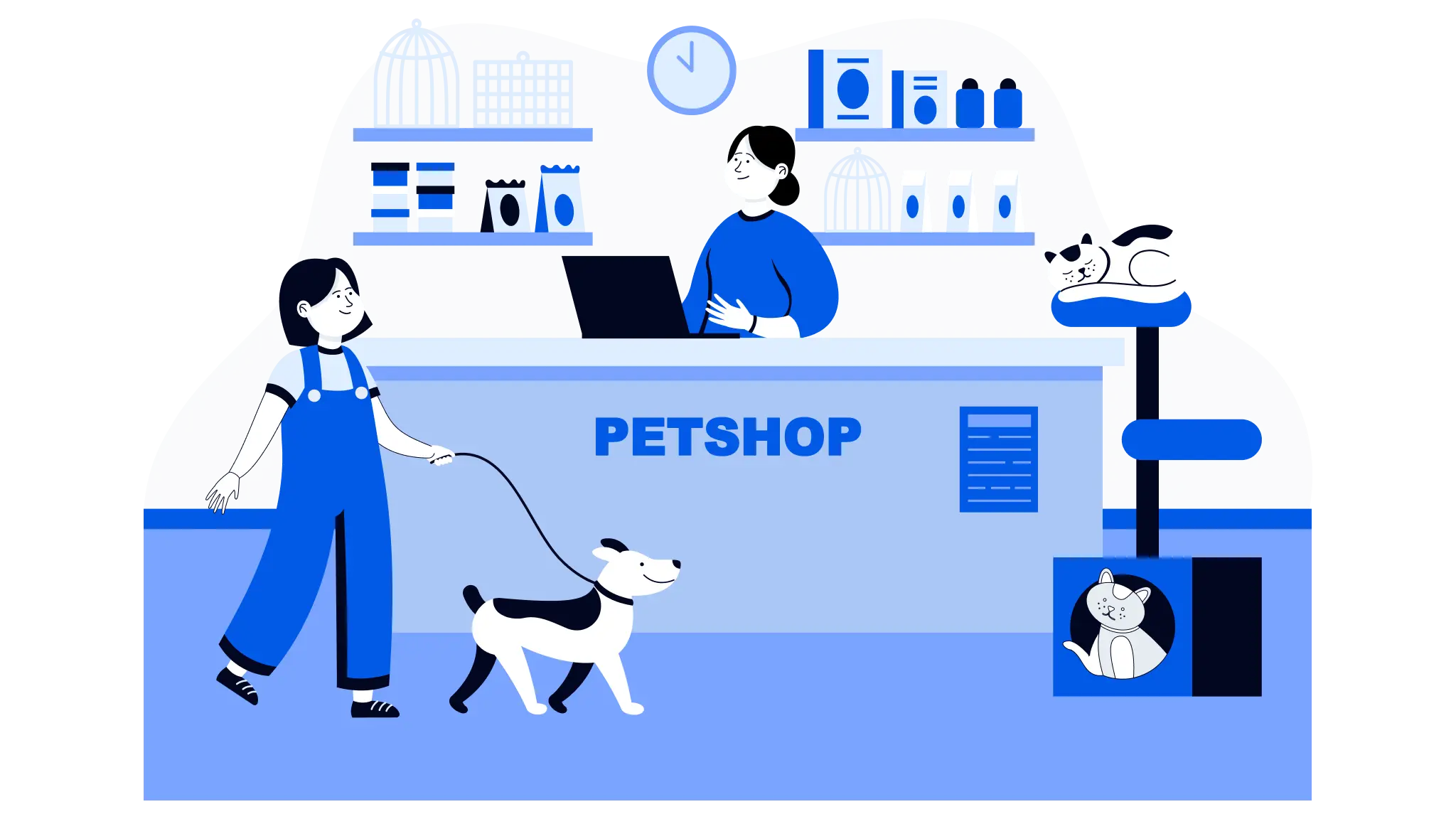 SEO продвижение зоомагазина